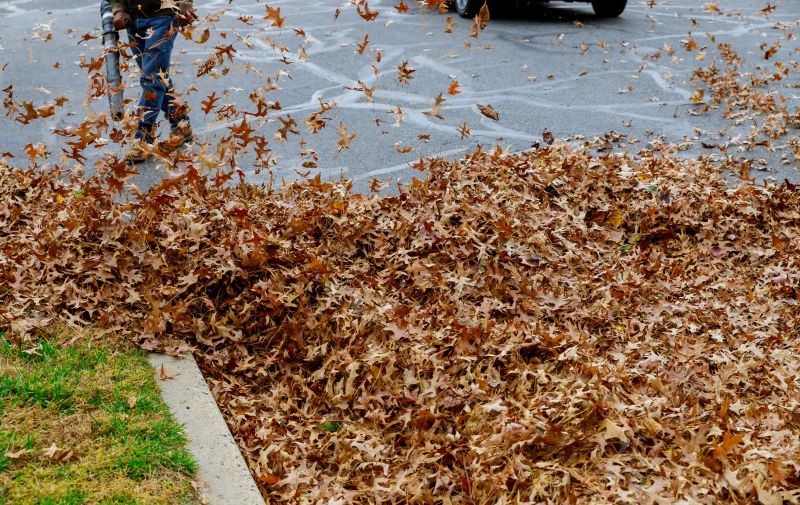 Fall Leaf Removal Services