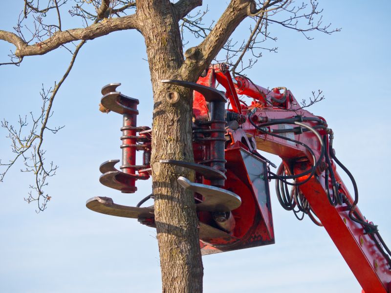 Tree Removal Vehicle