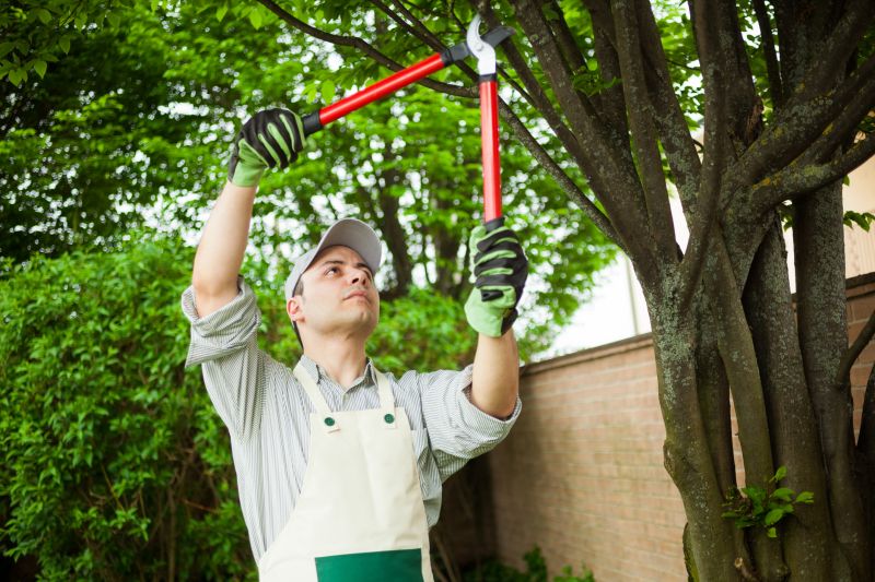 Permitting and Regulations